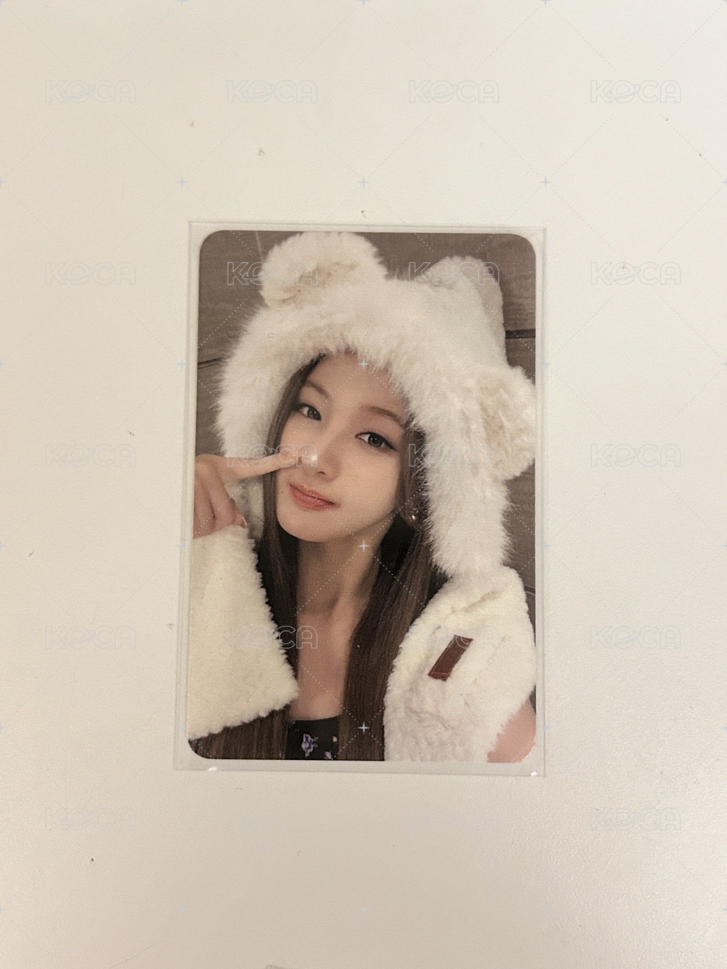 白熊🐻‍❄️