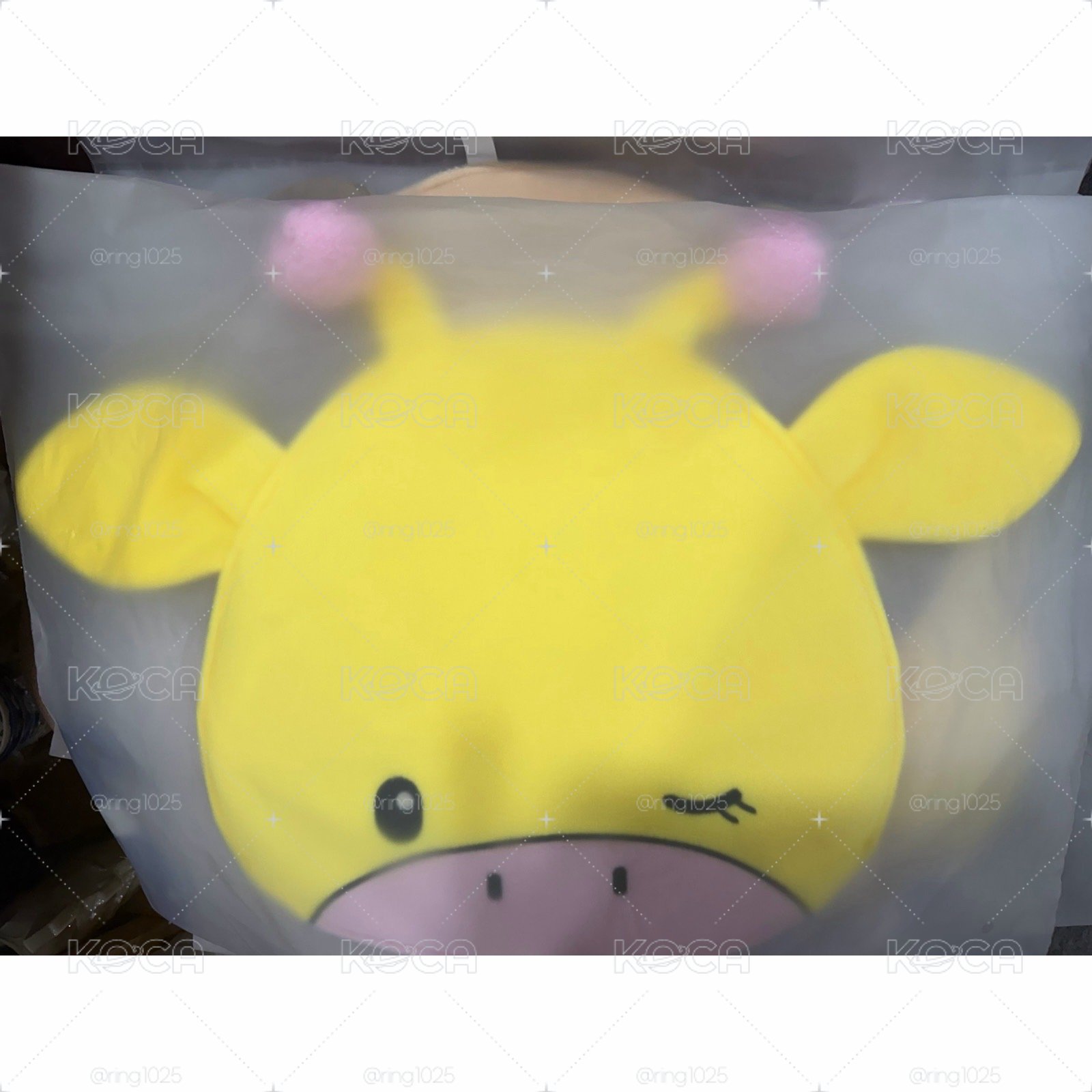複數釋出 全新未拆 日周 扇套