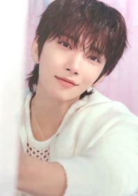 fm YAKUSOKU 隨機卡 47