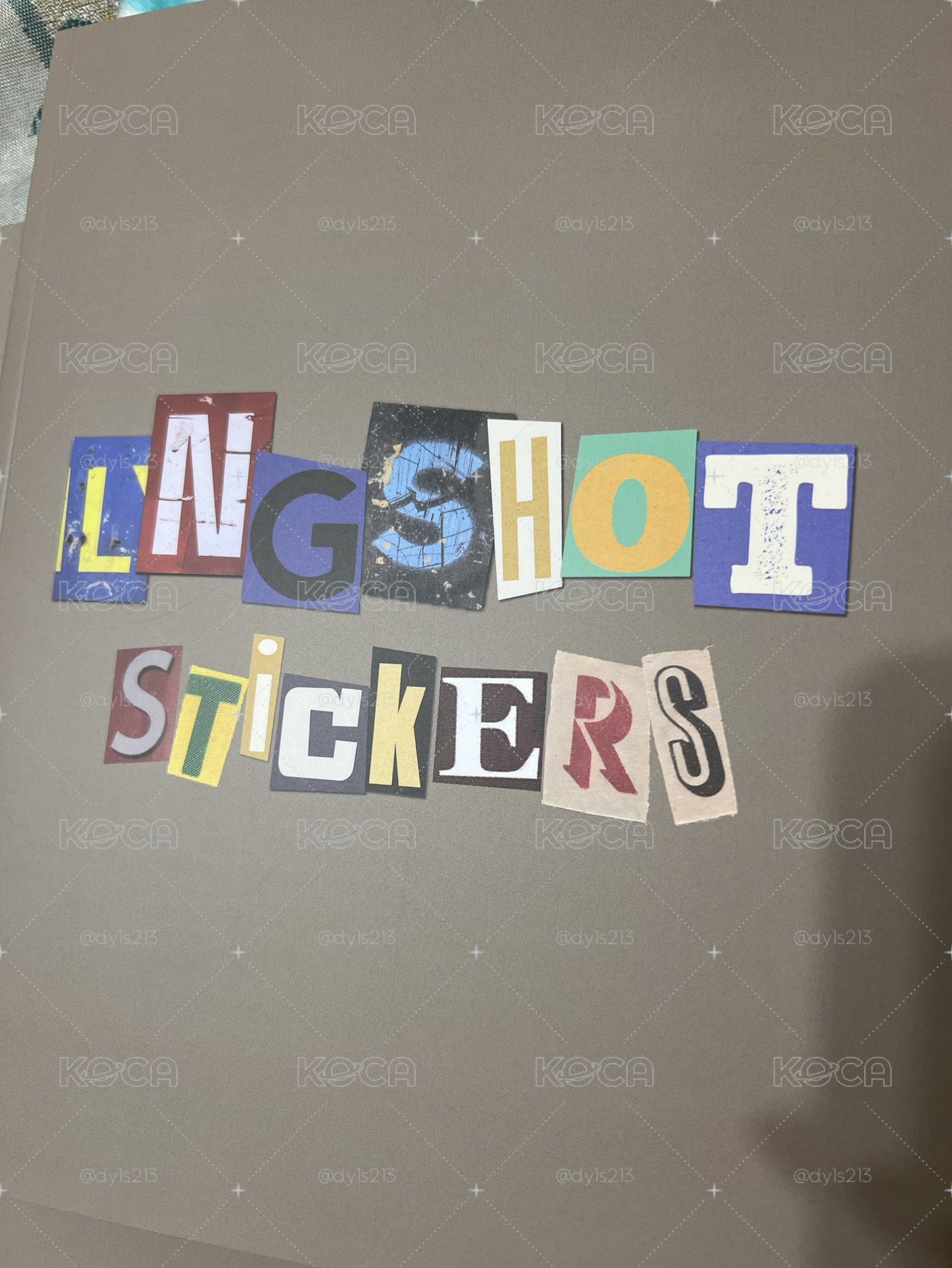 LNGSHOT 貼紙書 未拆