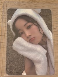 熊帽卡（需多帶兩張卡-從定、志、多、彩選擇）