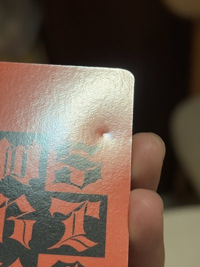 DW歪頭柚