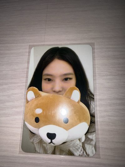 狗狗妮 