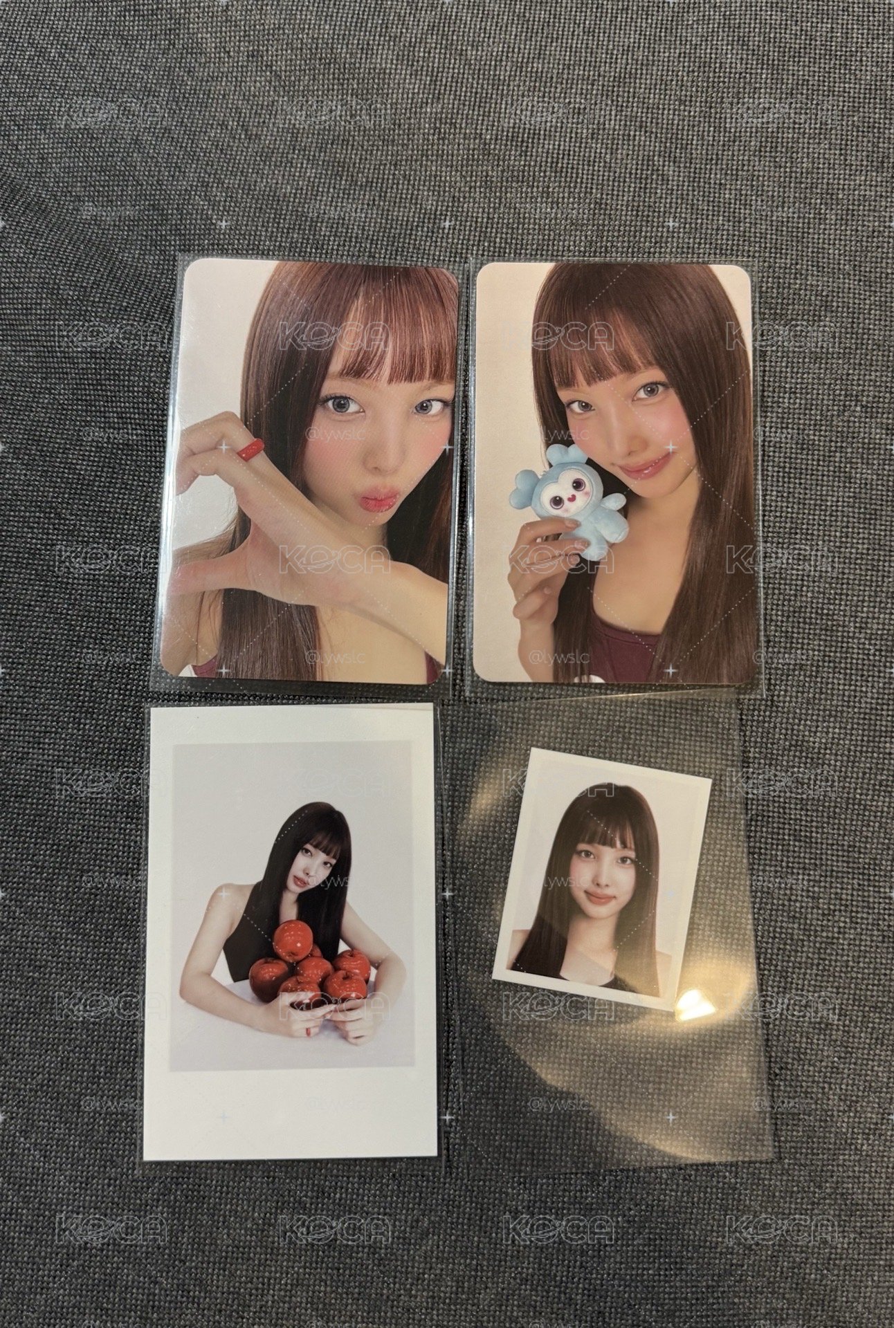 娜年曆組