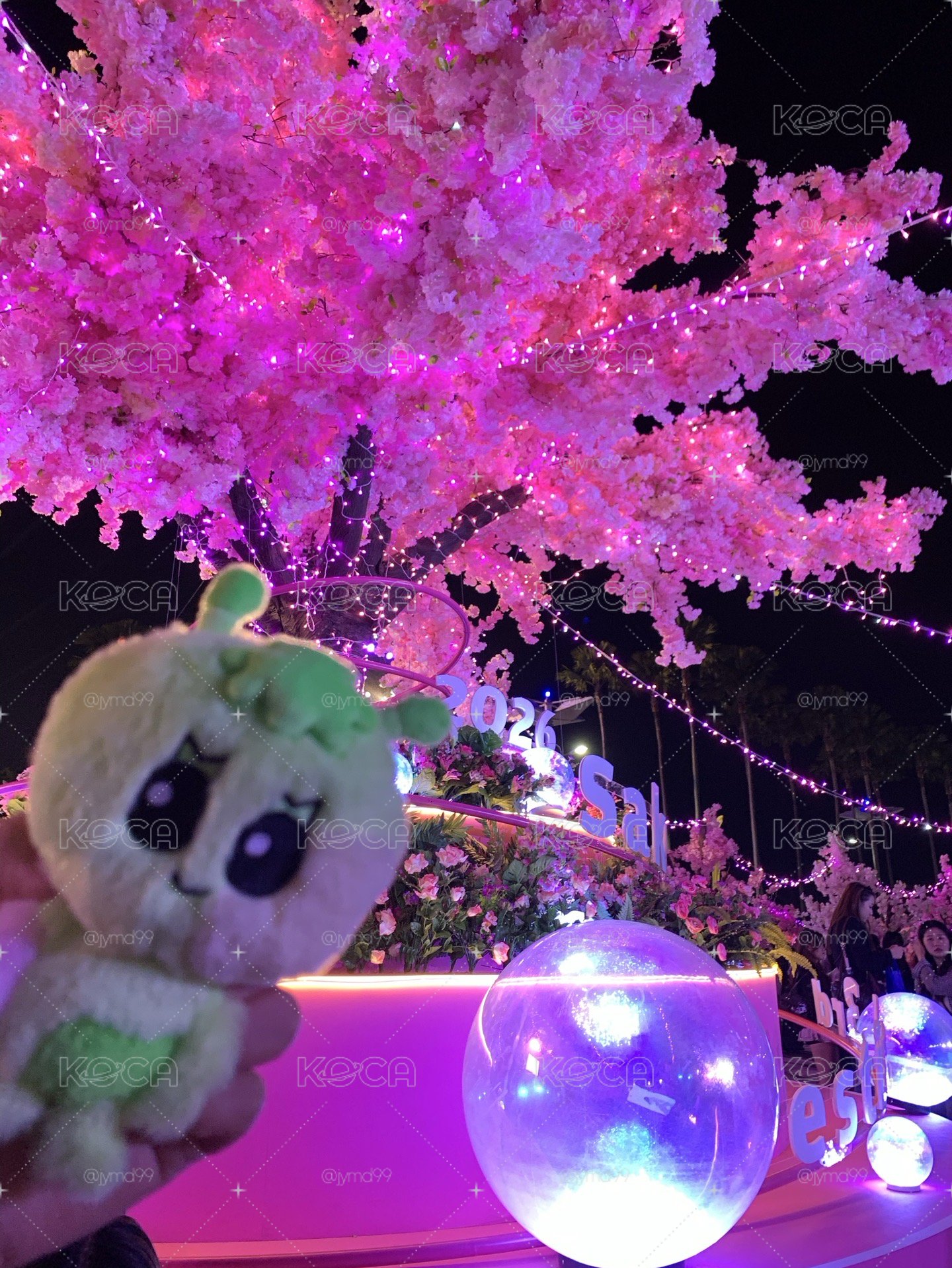 糊團簽卡 