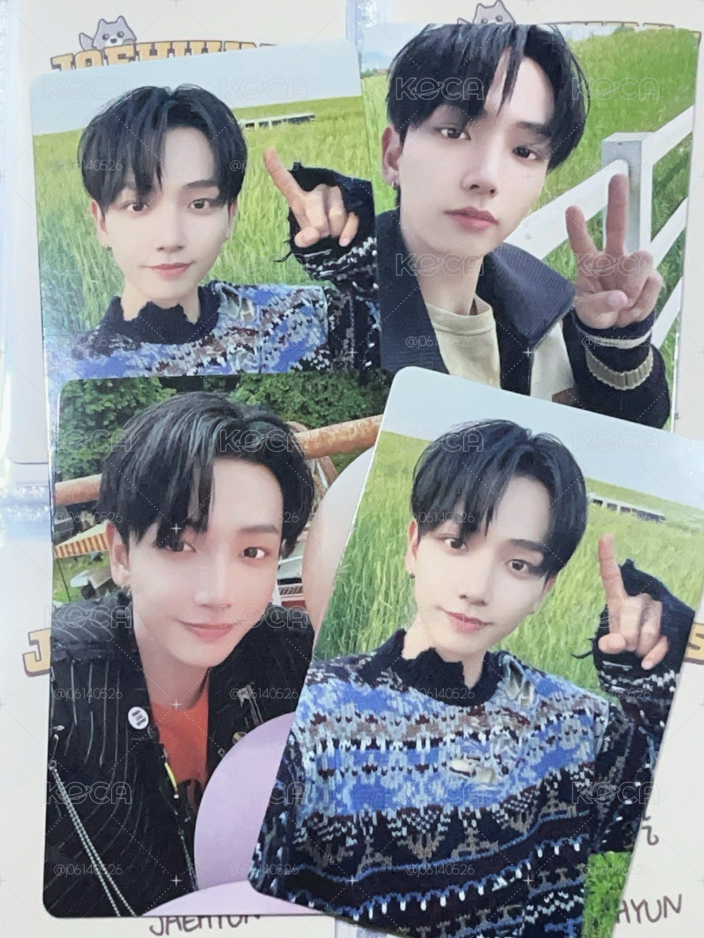 🐶草地陽光小狗☀️
