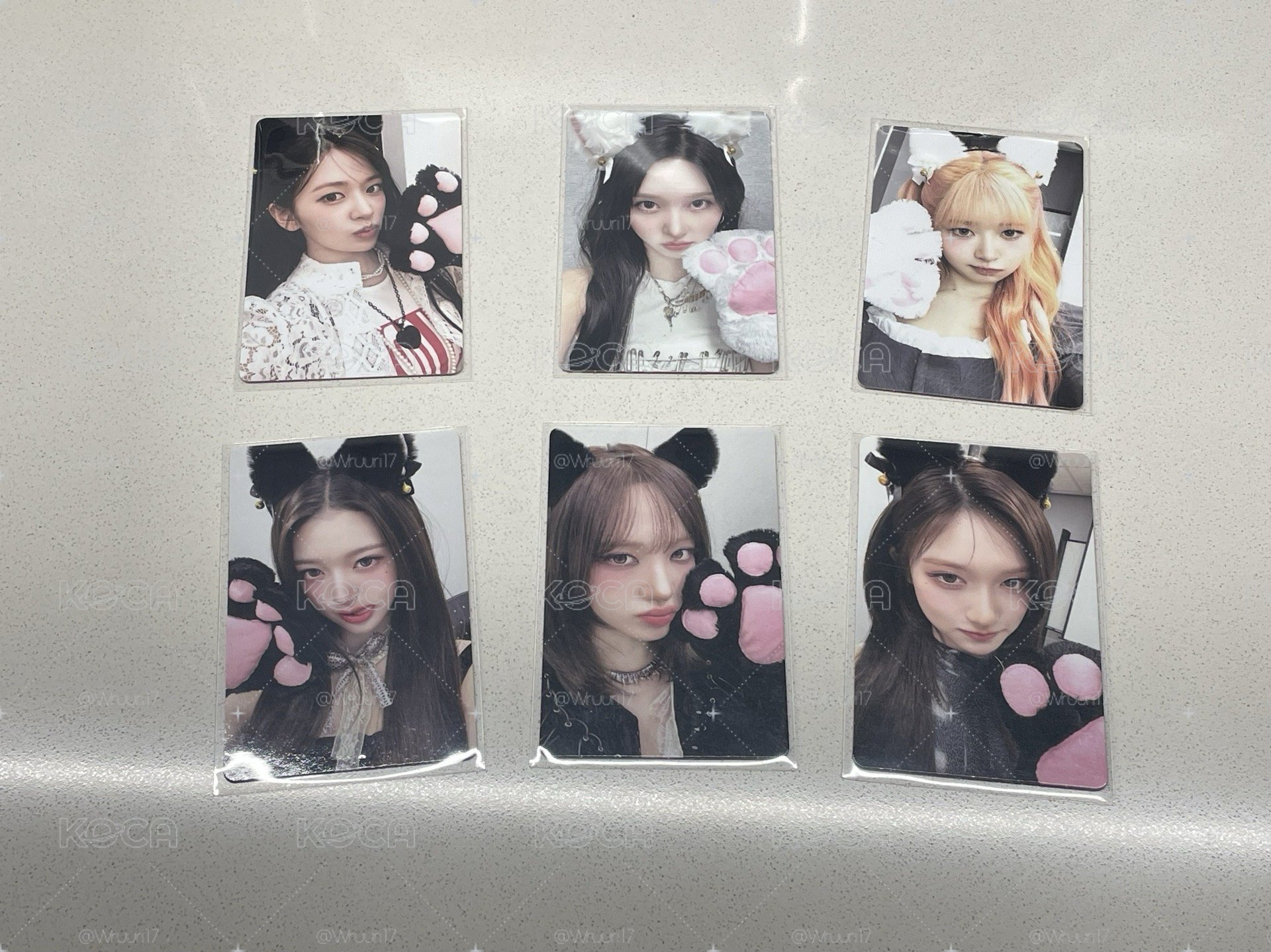 競標-貓耳一套(am通路)