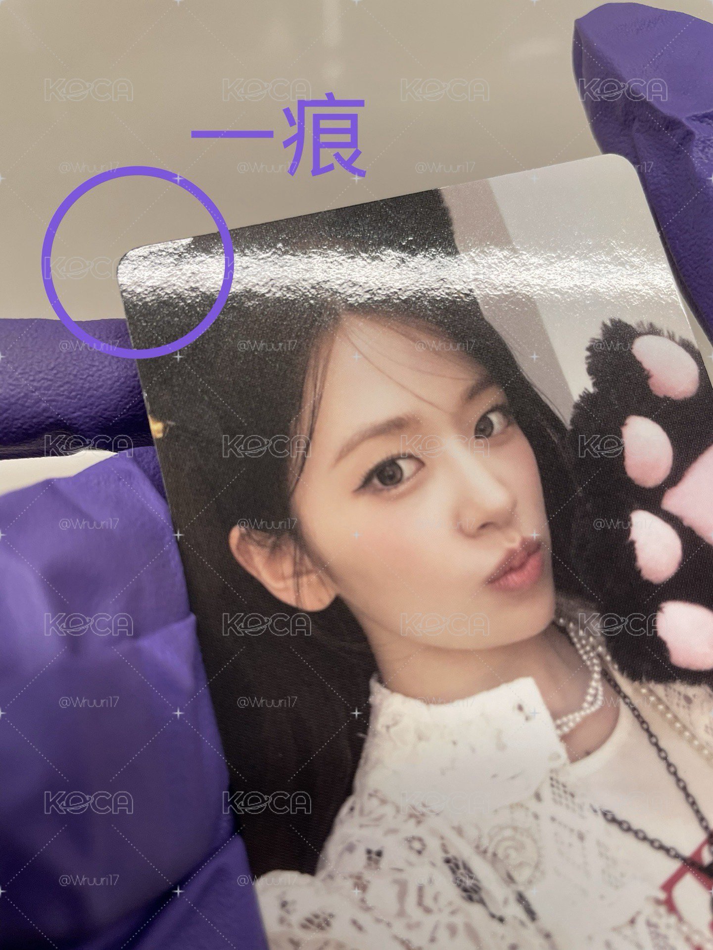 競標-貓耳一套(am通路)