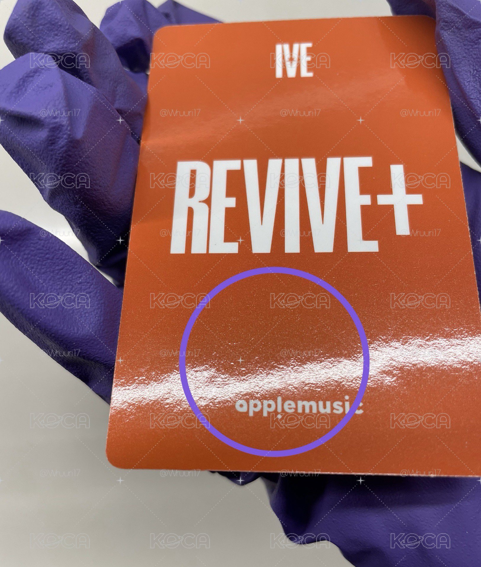 競標-貓耳一套(am通路)