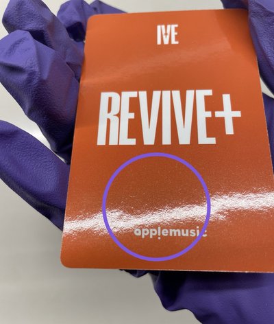 競標-貓耳一套(am通路)