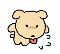 YY