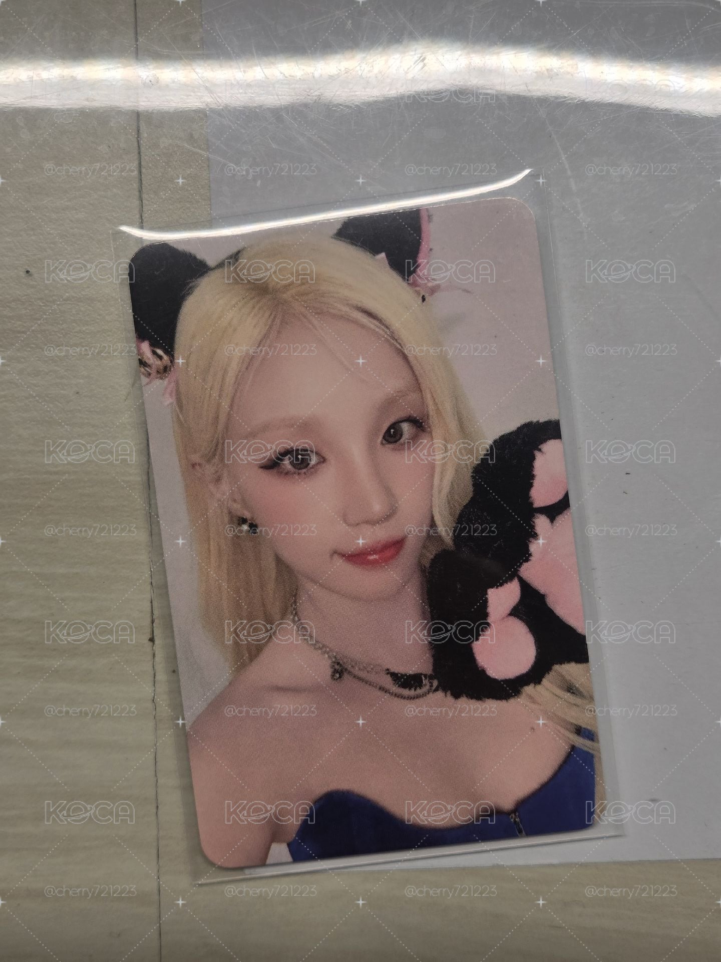 muvve3.0貓抓琦（$50起標)