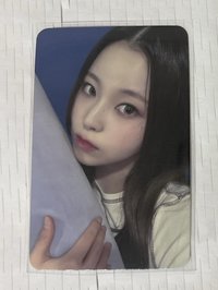 ✨lmlt 抱枕
