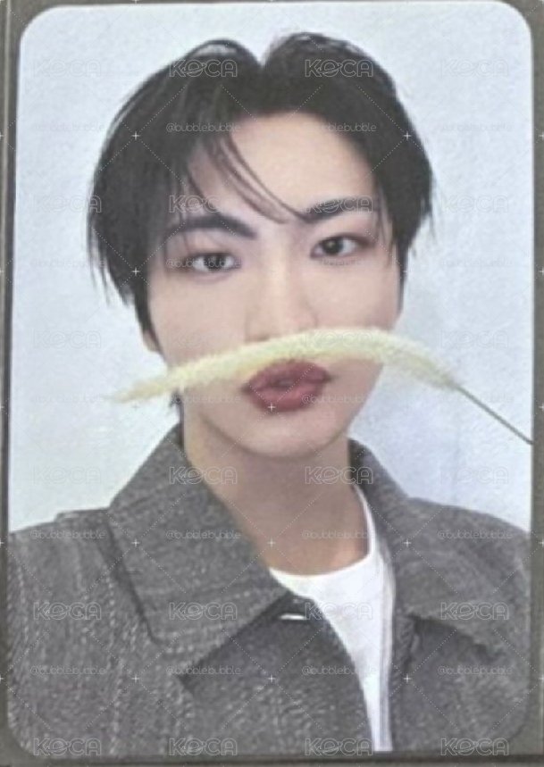 ATEEZ 星化 DMM 狗尾草 雙面卡