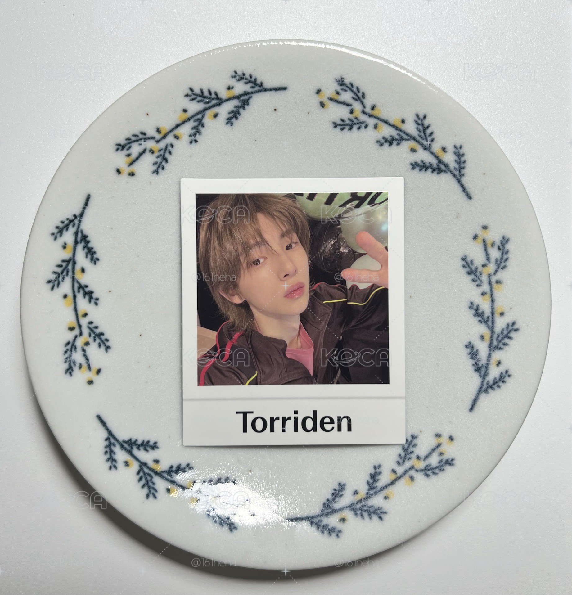 現貨 🥨 Torriden 凡訓