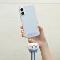 小八貓
