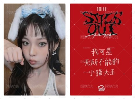 兔子大王圭