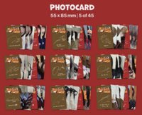 特四 Cast Photocards