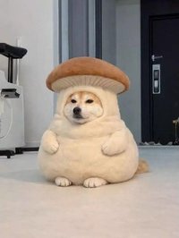 芋圓