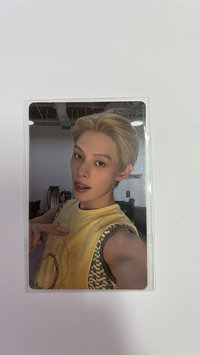 wvs幸