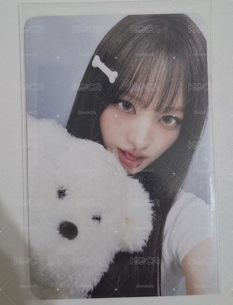 hl狗狗栗 現貨