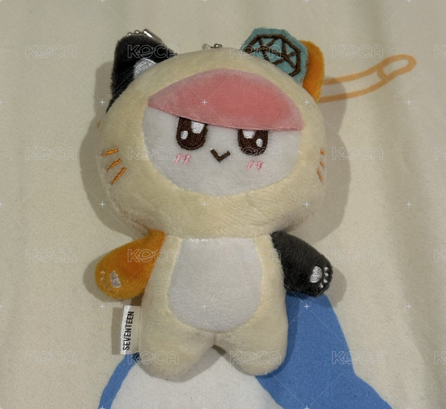 貓咪蹦蹦🐱