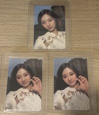貓爪卡