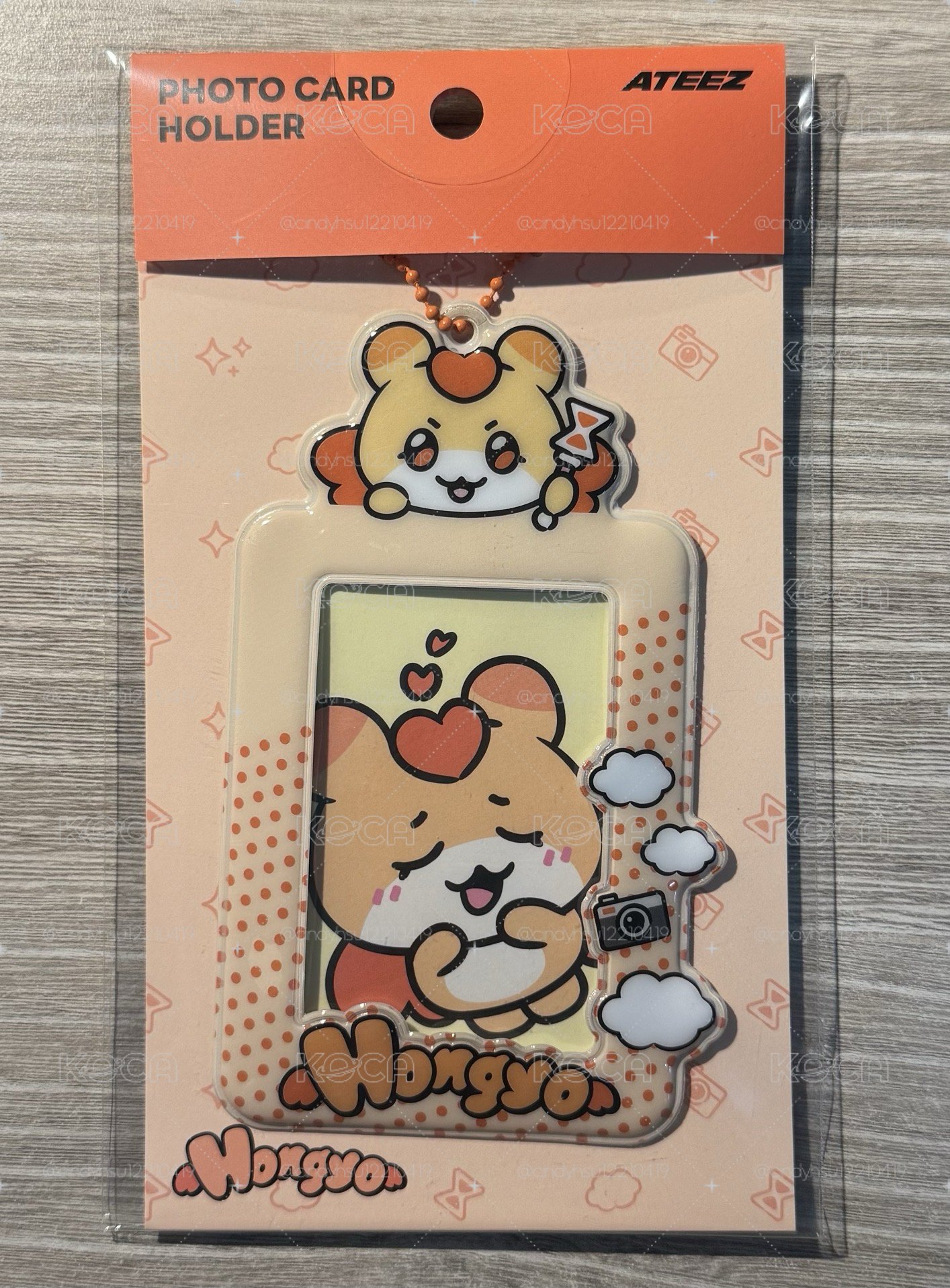 MIGHTEEZ US 限定卡套 弘中
