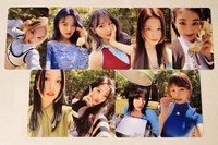 迷11 Lotte Pob