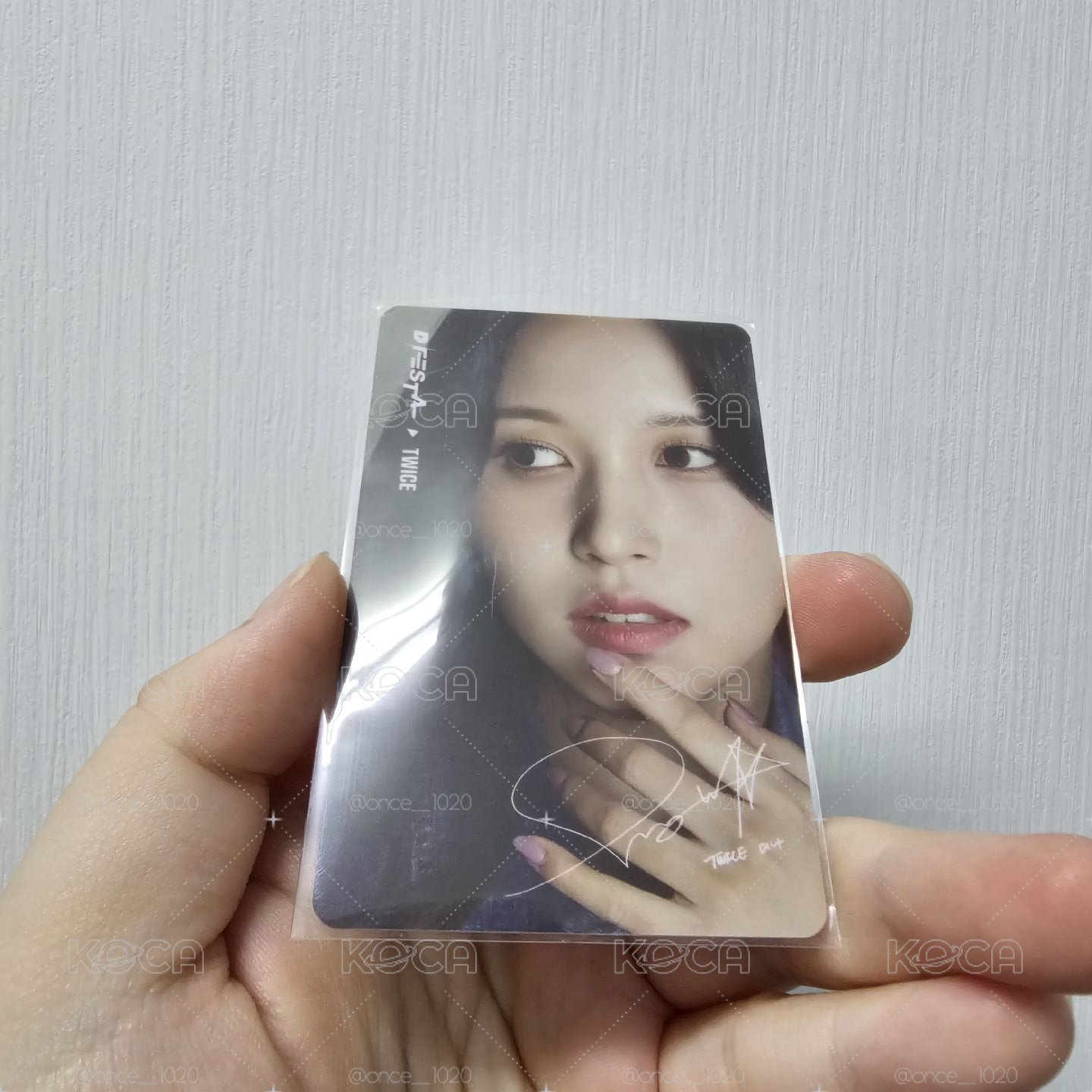 D社展覽 黑熊卡背 南