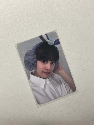 兩張兔子🐰