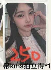 11（需多帶拍立得）