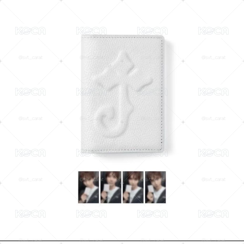 JOSHUAHAPPY BIRTHDAY DAY BOX VER.5背包袋子】SEVENTEEN 生日周邊