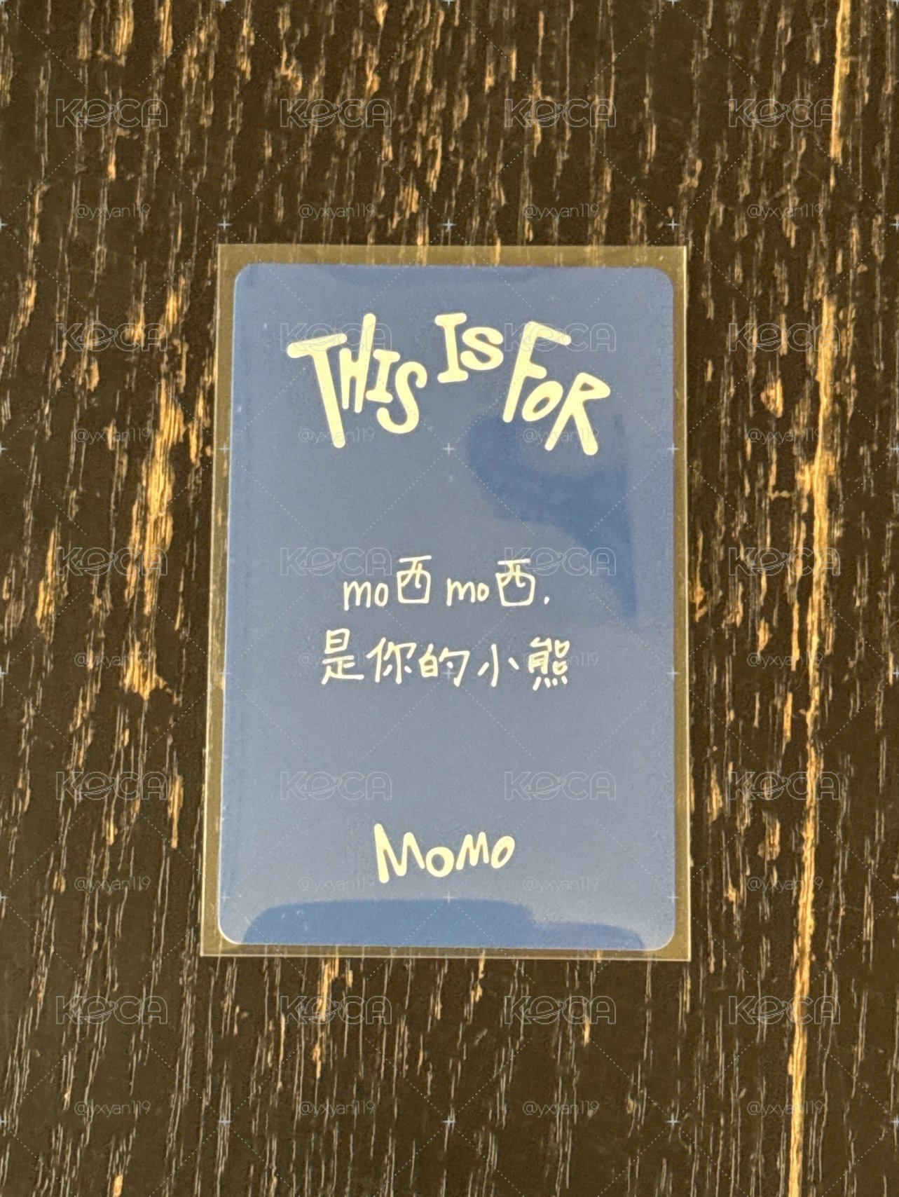 一直娛簽售中文卡背桃（mo西mo西是你的小熊）