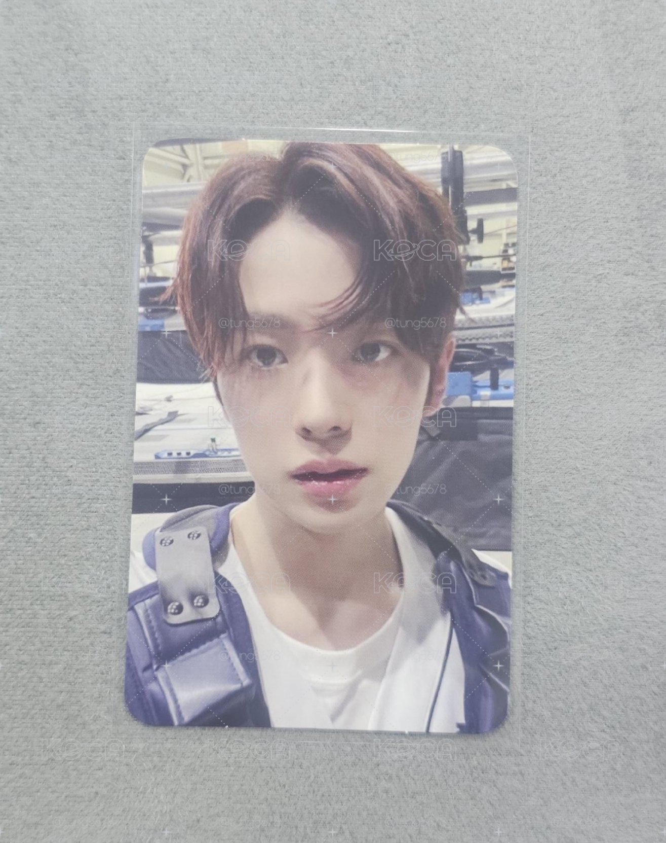 NCT WISH Yushi 小卡