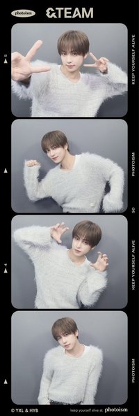 WOF 人生四格卡 / 拍貼 