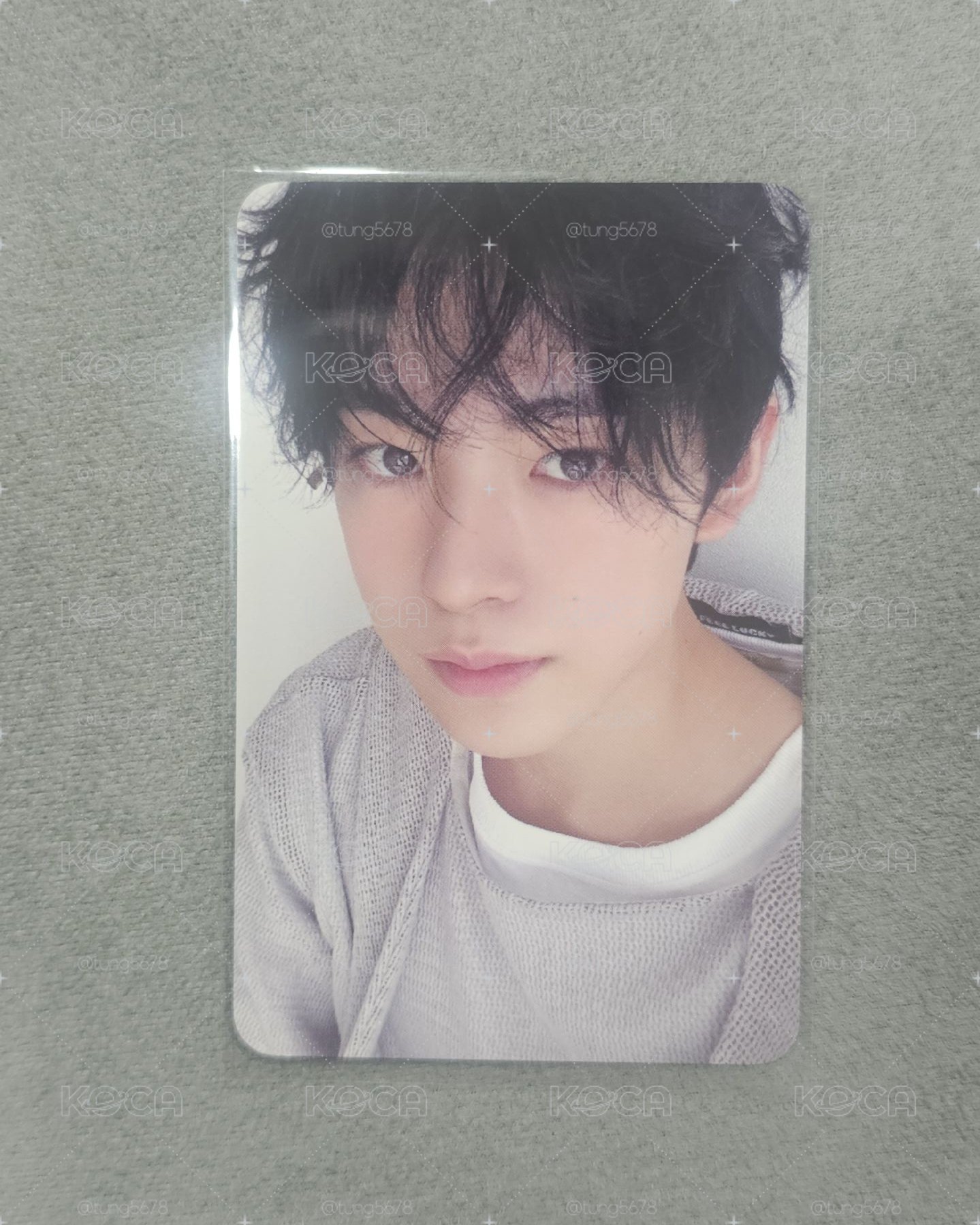 NCT WISH Yushi 小卡