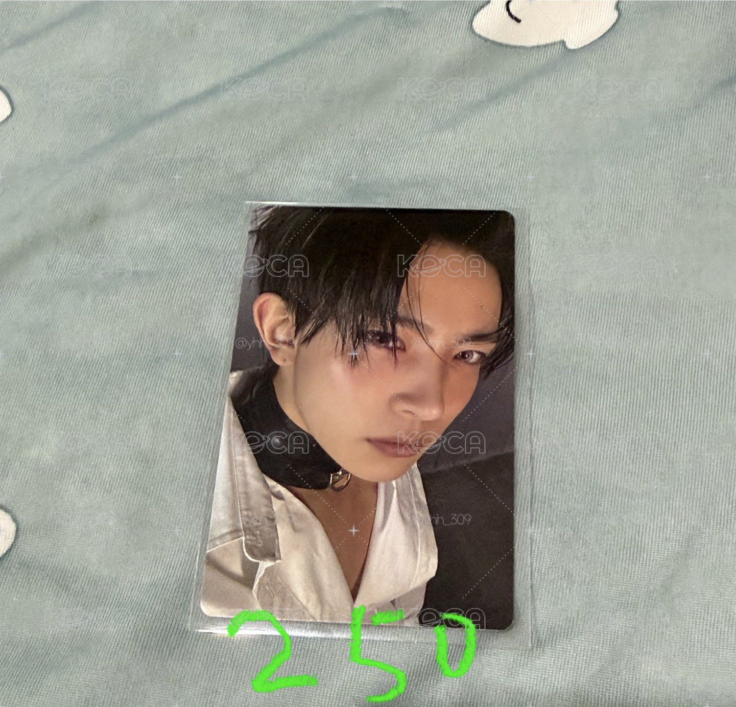wvs sc單封直播卡