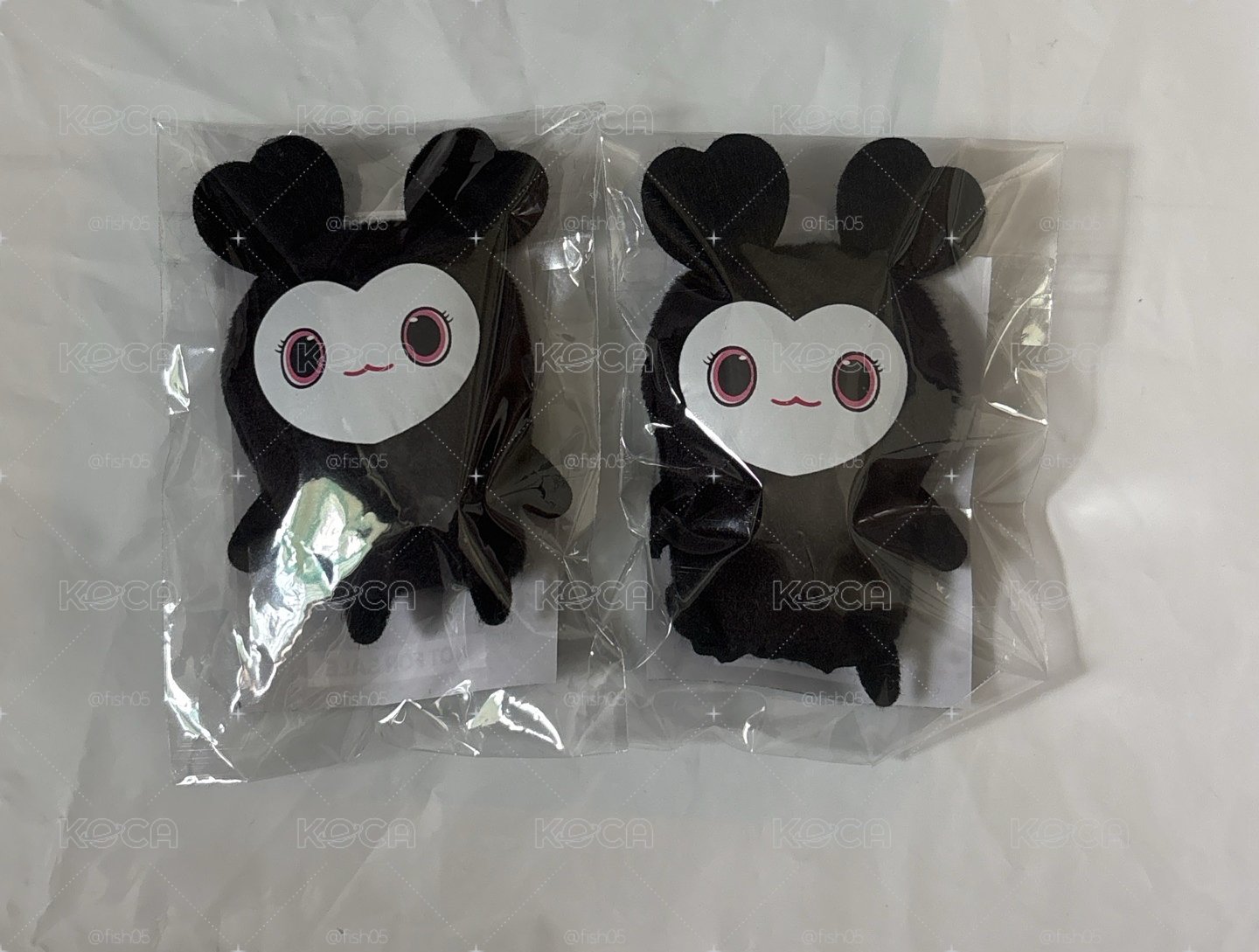 新國立入場 指娃