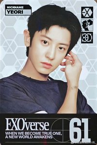 25 FM 隨機卡 閃卡