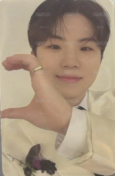 WOOZI 