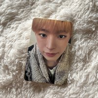 🐈5 雀斑小咪 