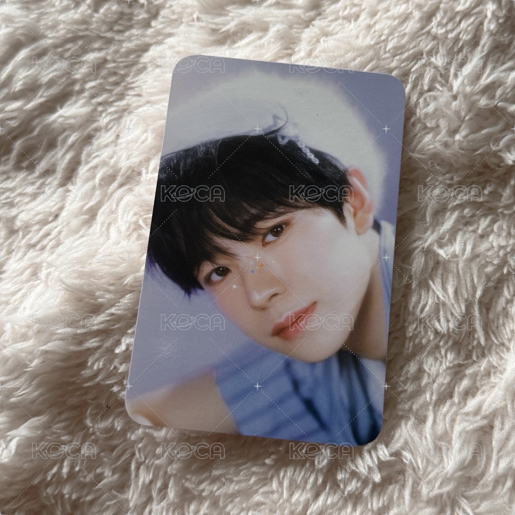 🐈11 
