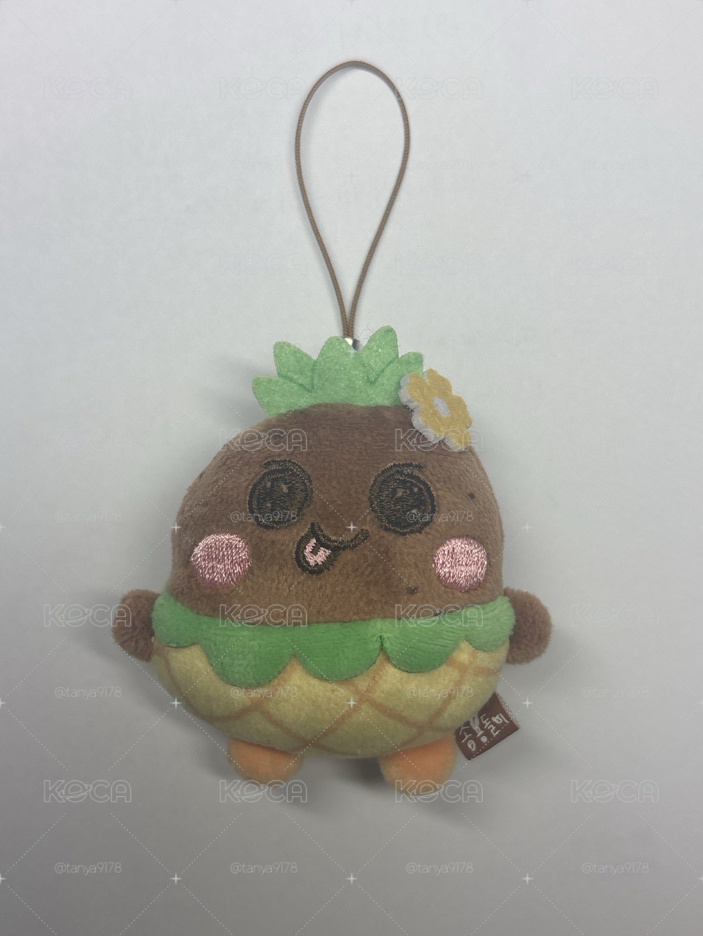 鳳梨龍石