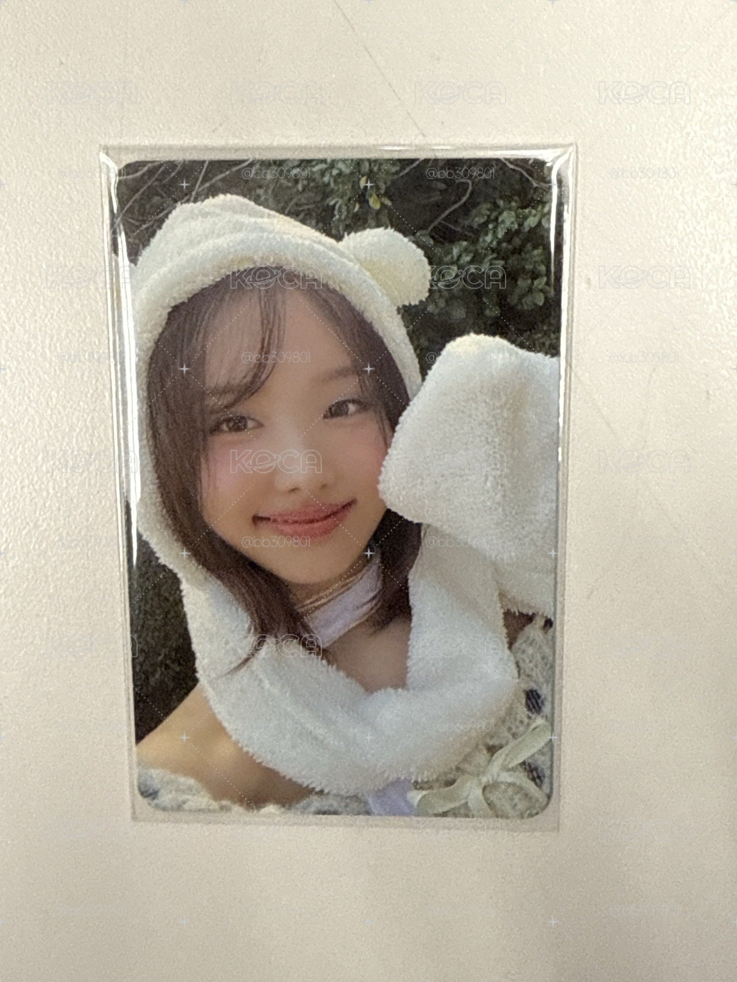 Twice 熊帽娜