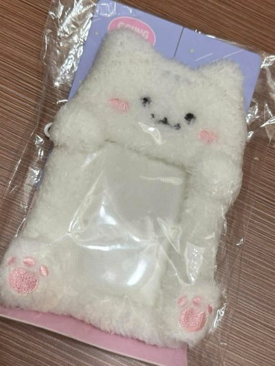 李泰民盤