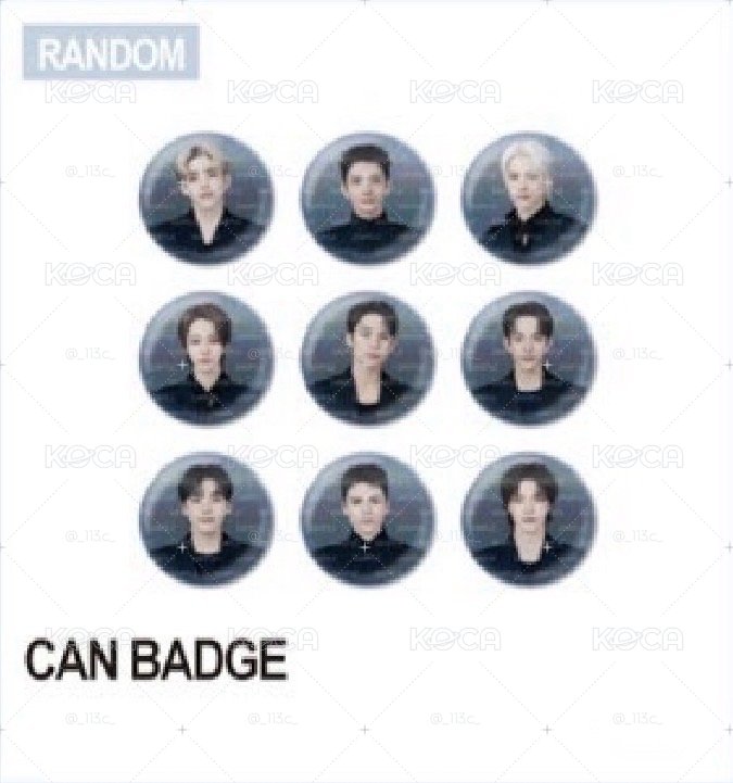 _NEW JAPAN徽章