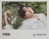 茶百道 代言 明信片 