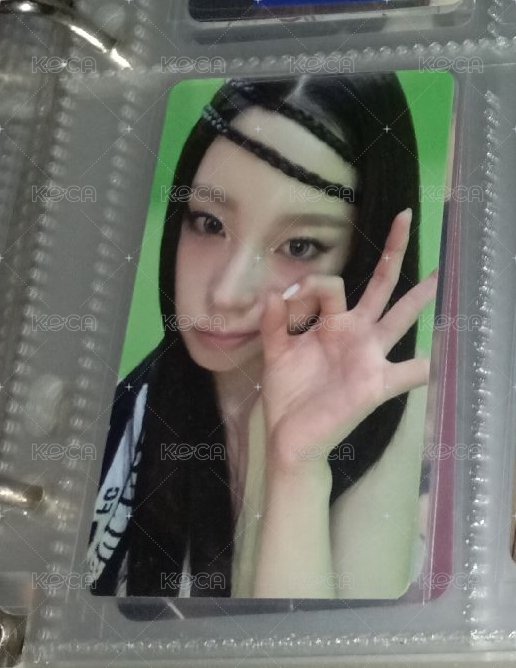 Jyp預售圭