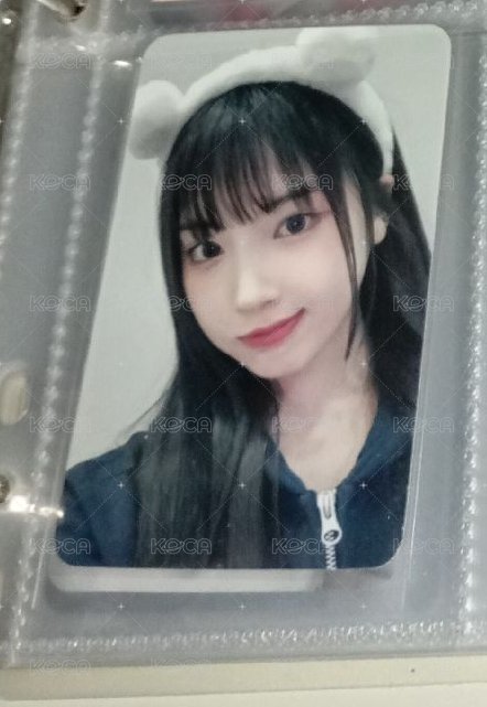 自嘲熊（3💫）